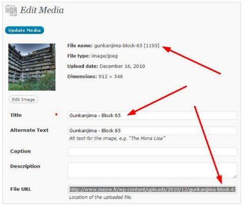 image renamer image renamer